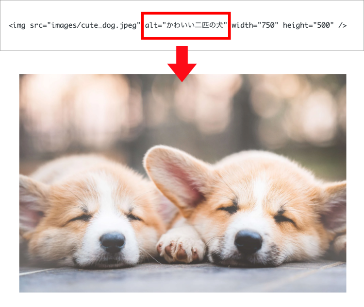 代替テキストのソースコードイメージ